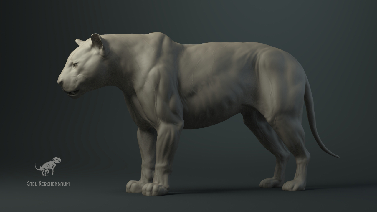 tigre_010_wip.jpg