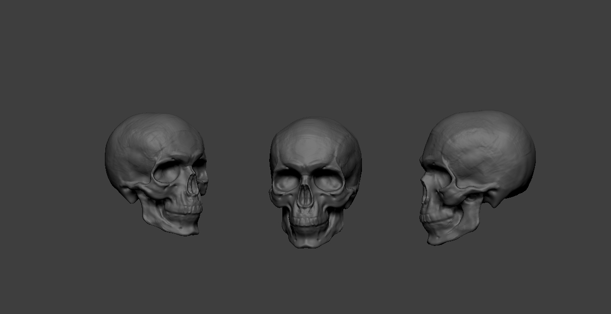 skull01.jpg