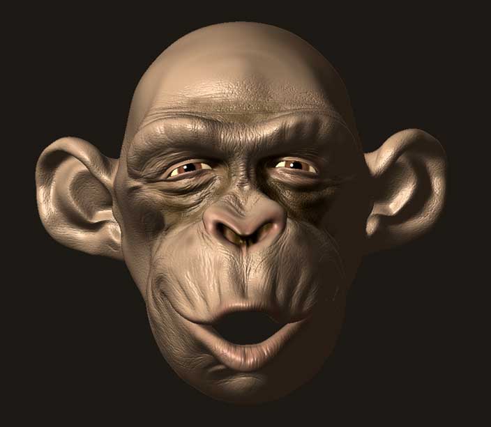 chimptex1.jpg