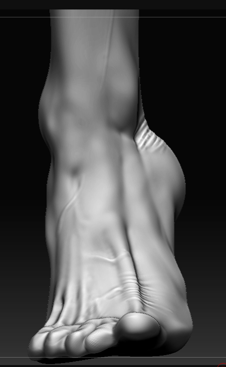 feet_1h.jpg
