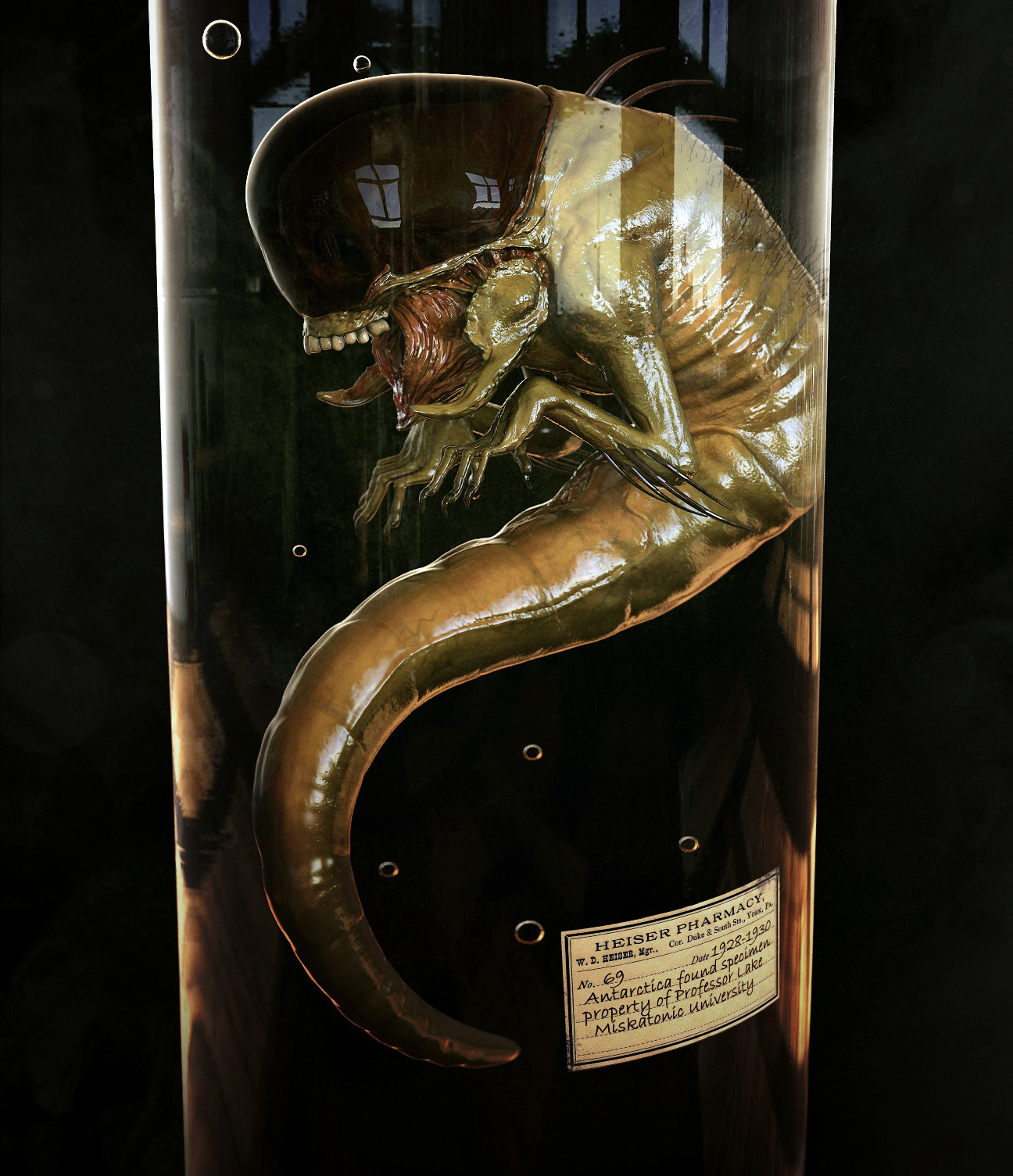 maarten-verhoeven-maggot-005.jpg