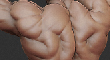 xt.jpg