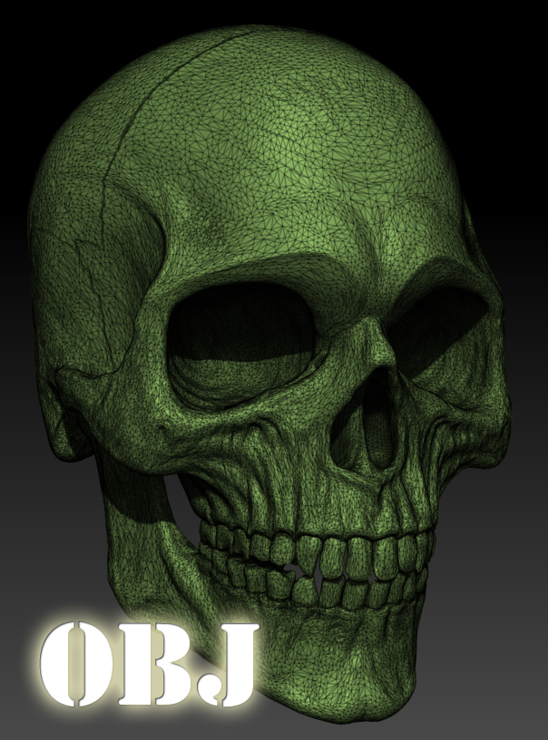 skullwire.jpg