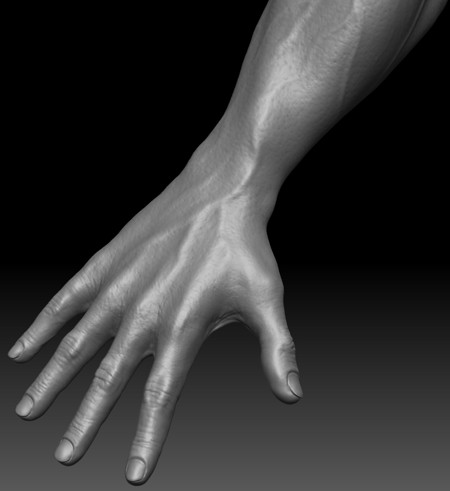 hand.jpg