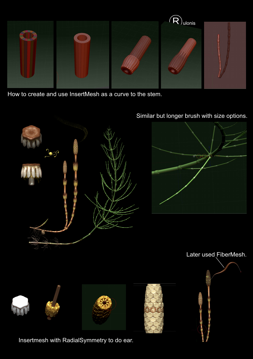 Horsetail step by step.jpg