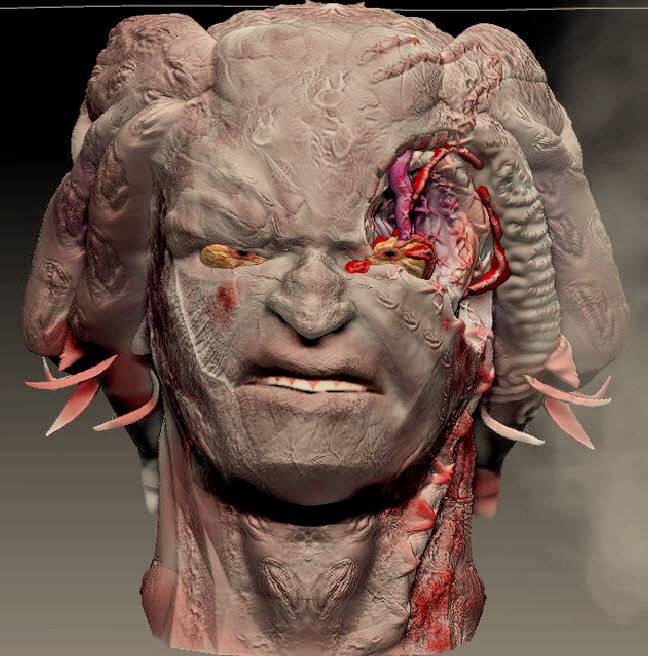fantasy head2.jpg