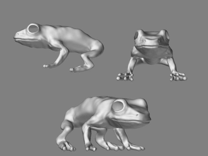 Frog-Med-Rez2.jpg