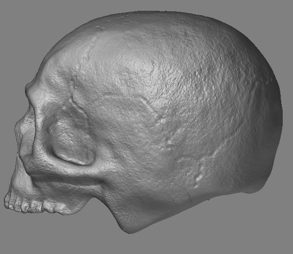 skull_wip3.jpg