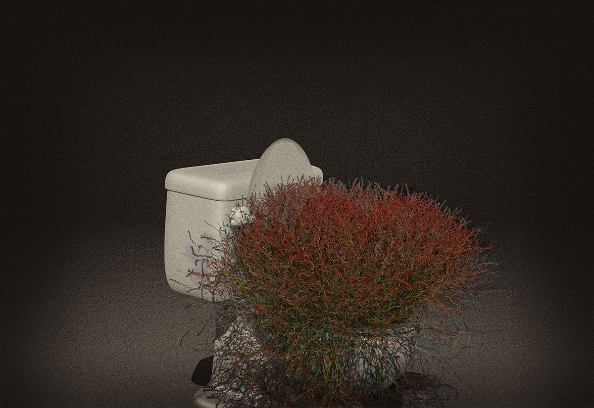 toiletFlowers-Recovered.jpg