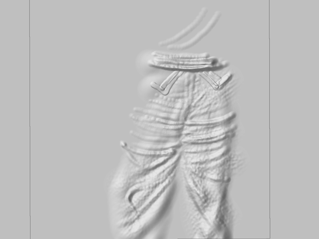 pant.jpg