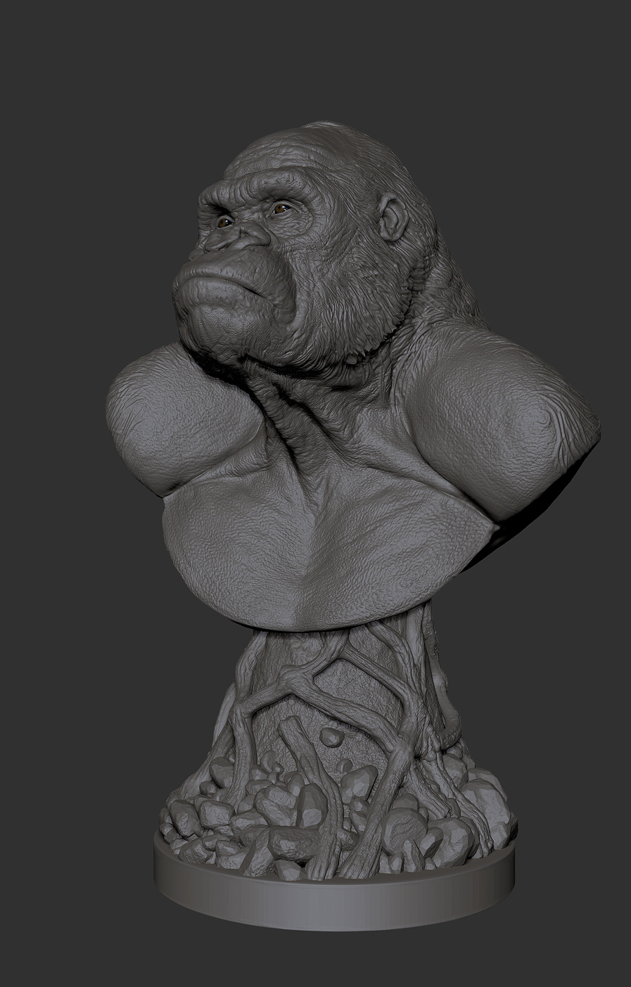 ape 004.jpg