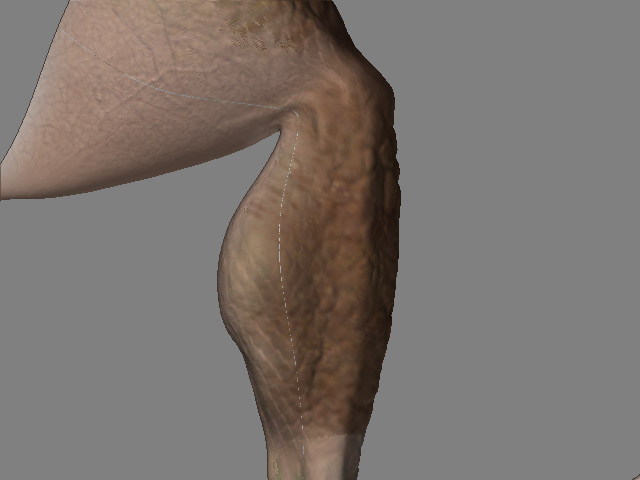 seam.jpg