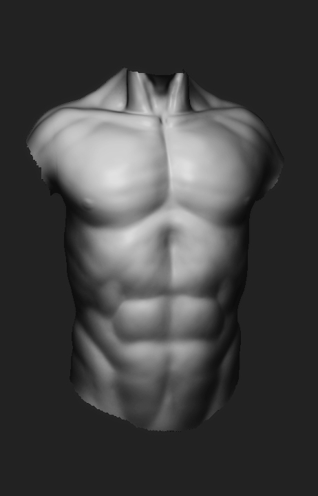 torso1.jpg