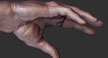 hand.jpg