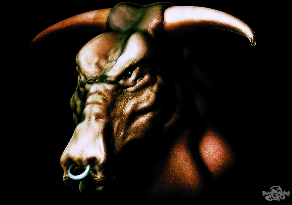 bull.jpg