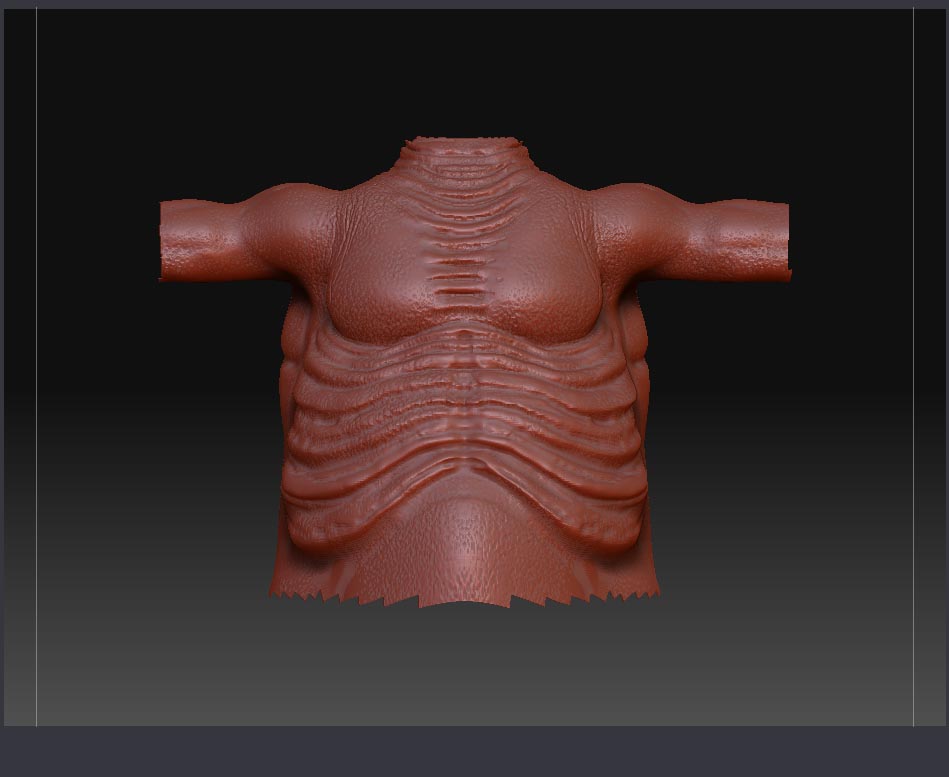 torso_up.jpg
