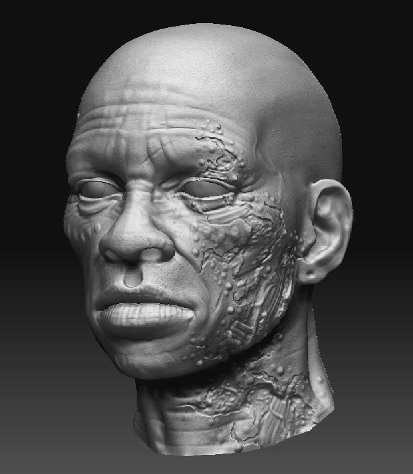 Zareb_update_head.jpg