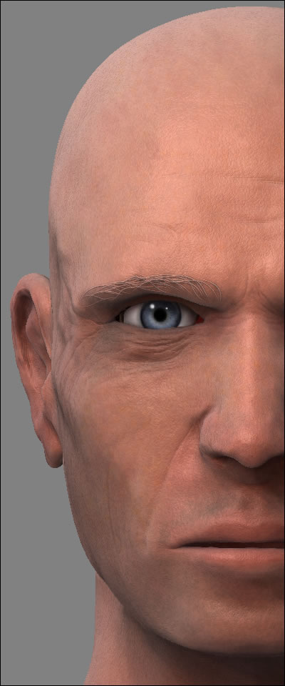 face-brows-test.jpg