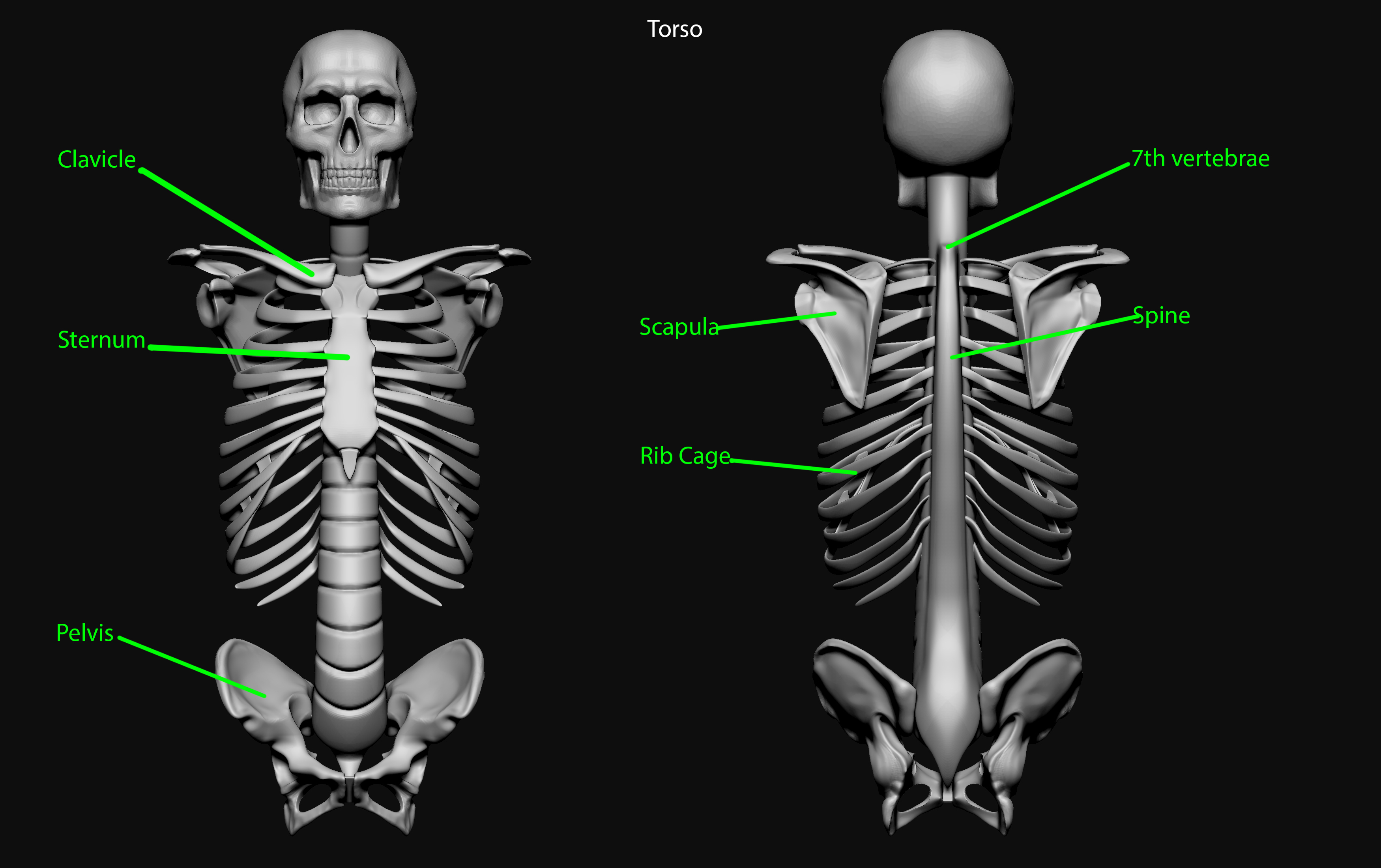 ZBrush Document8.jpg