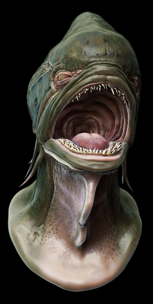 fishheadpaint_front_render.jpg