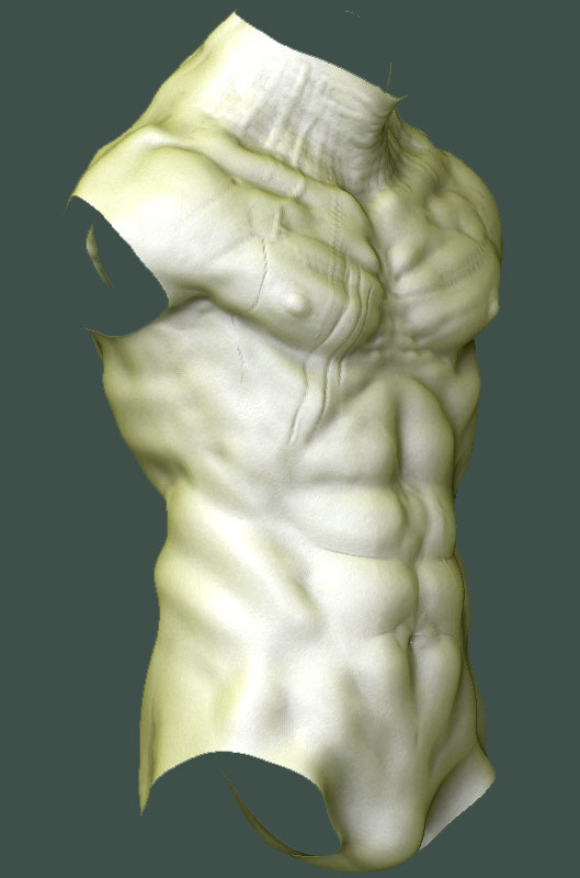 MerTorso.jpg