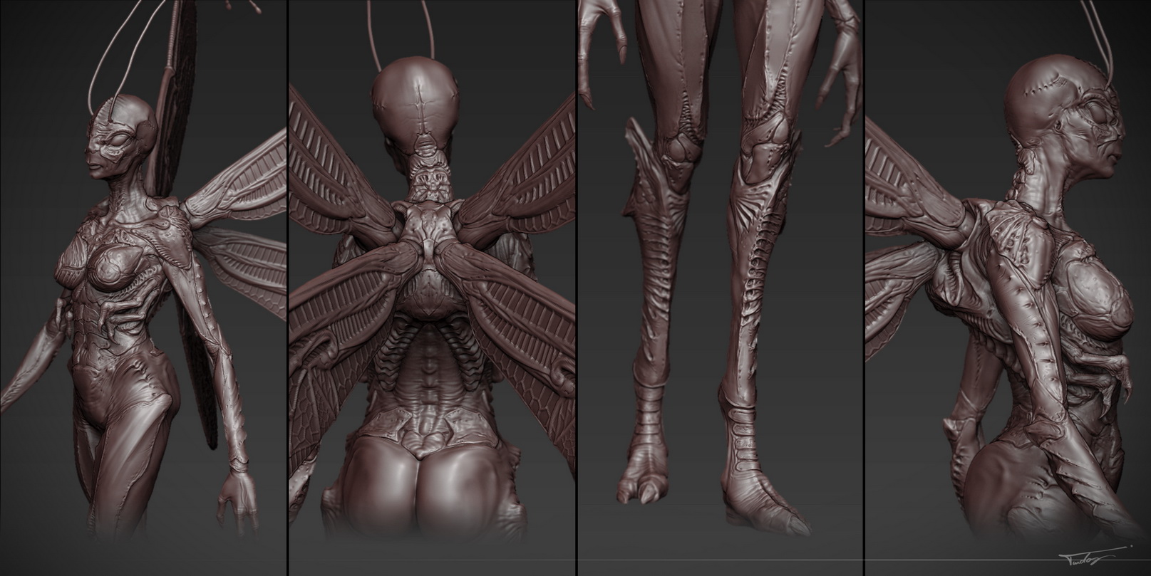 Dragonfly_Details_resize.JPG