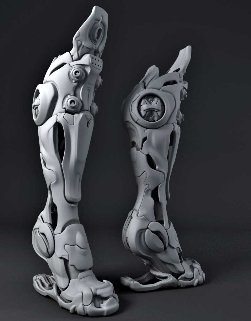 kss-leg-2.jpg