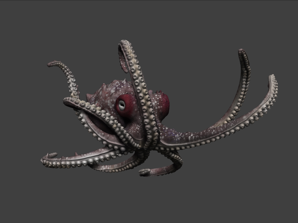 Octo Angled.jpg