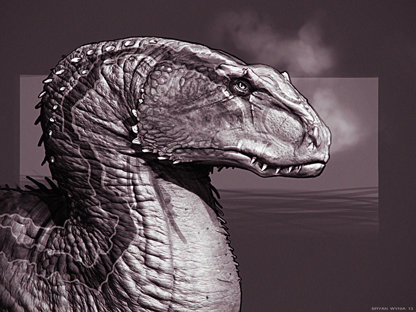 monsterhead2_web.jpg