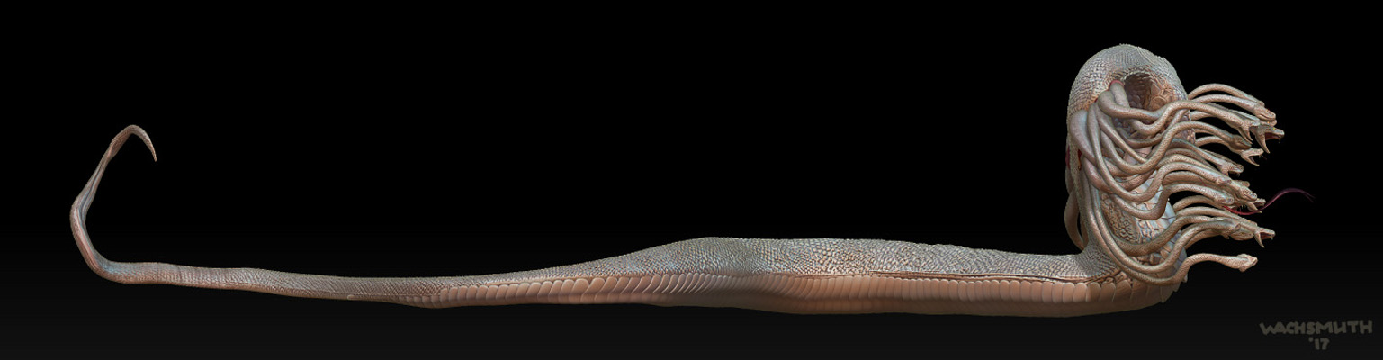 hydra_view_04_4web.jpg