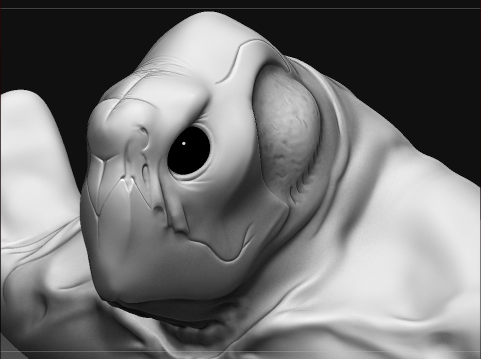 Air sack texturing.jpg