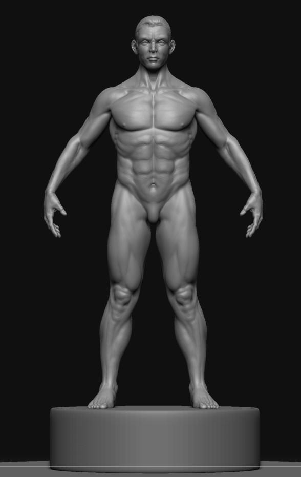 rmale body refined  backperspective ZBC.jpg