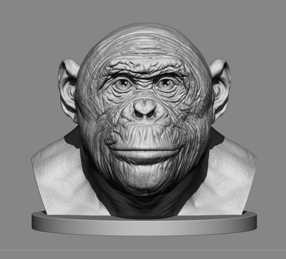 bonobo_g