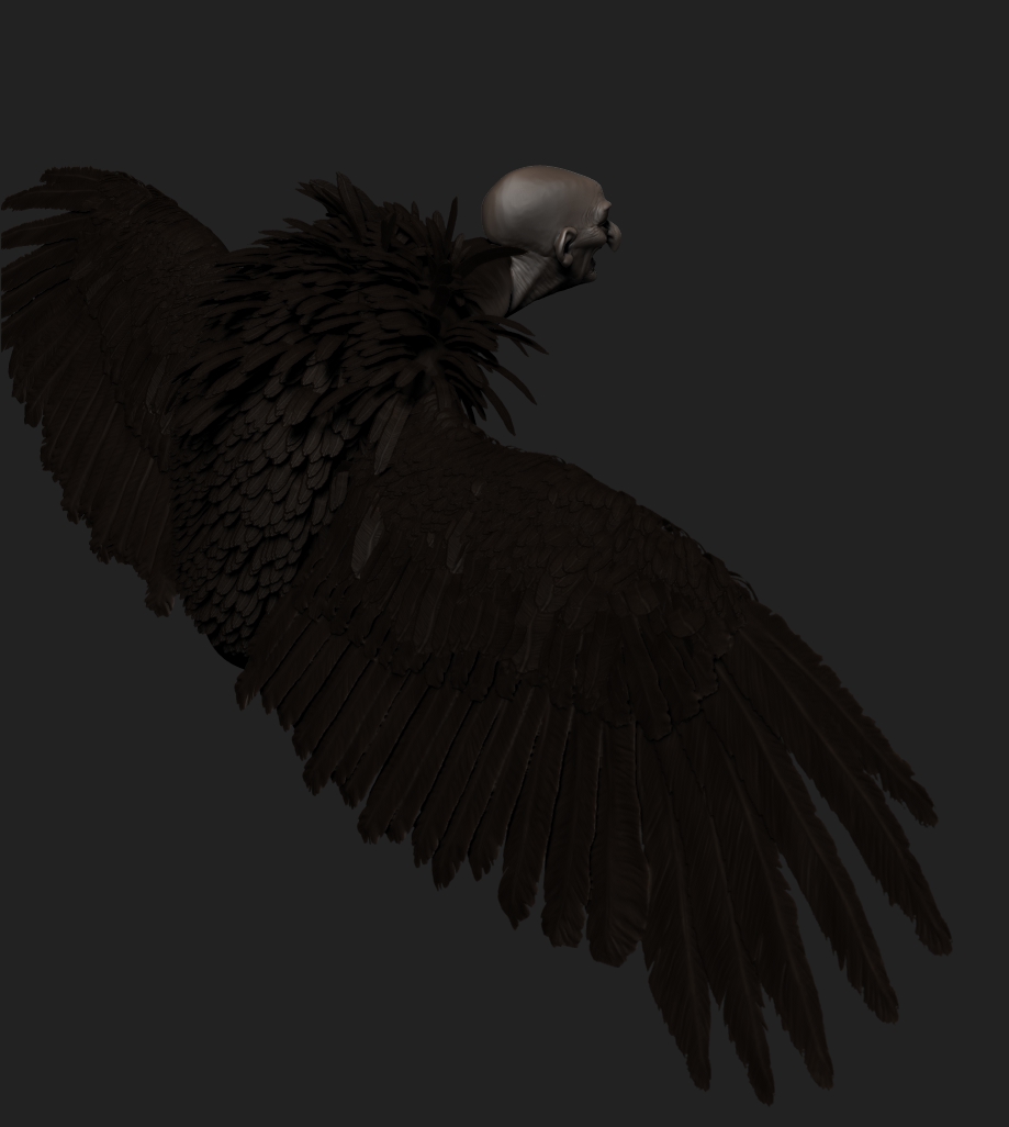 Harpy5.jpg