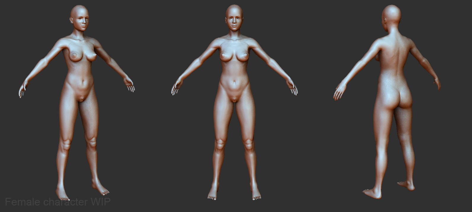 FemaleRender.jpg