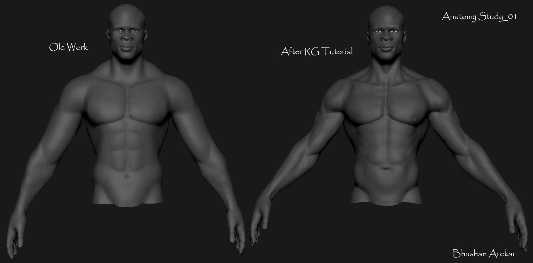 Anatomy Study_01b.jpg