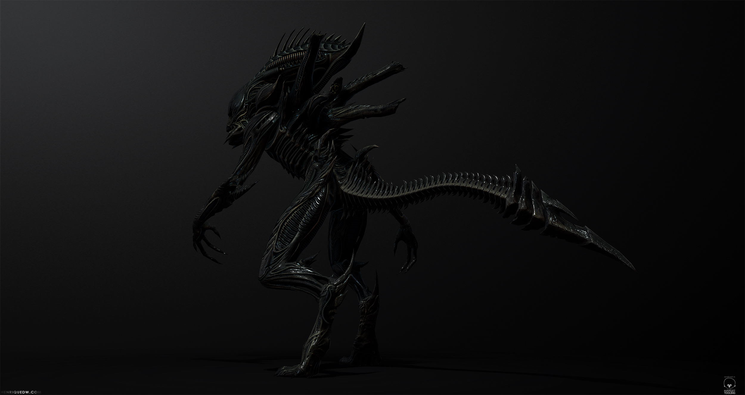 Raven_002.jpg
