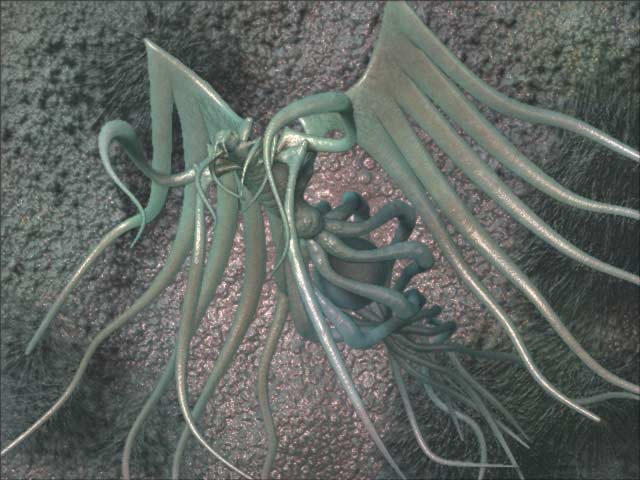 insectoid.jpg