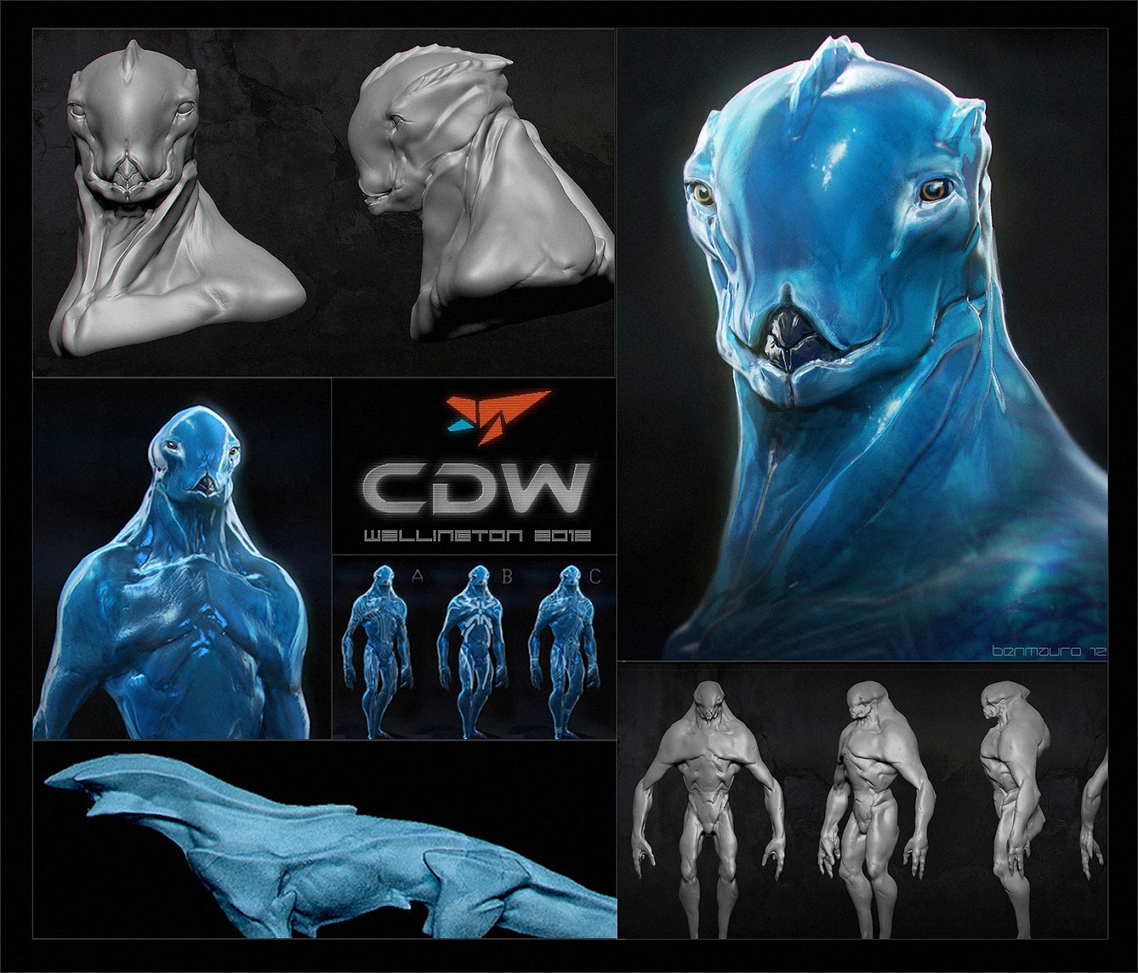 CDW_well_overviewS1_BM.jpg