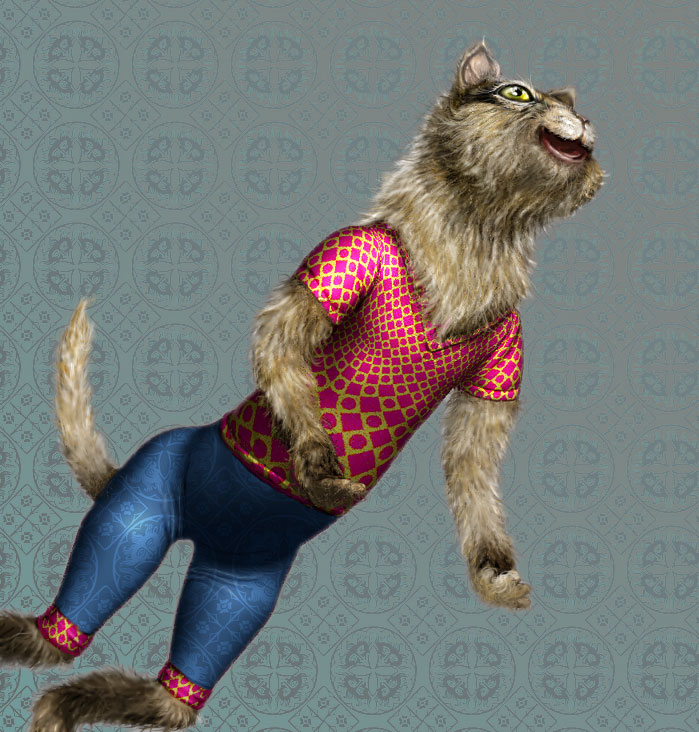 NewKitty.jpg