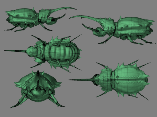 BeetleFramedMultiview.gif