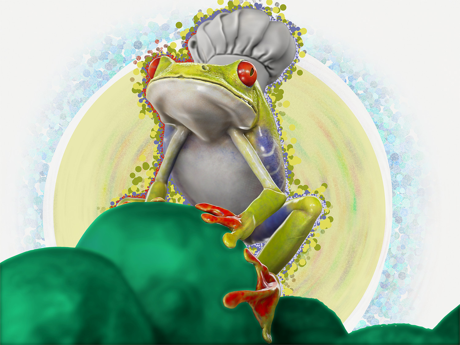 tom-segal-frog-low-res.jpg