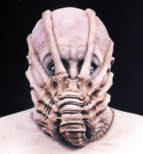 FHugger+Testa.jpg