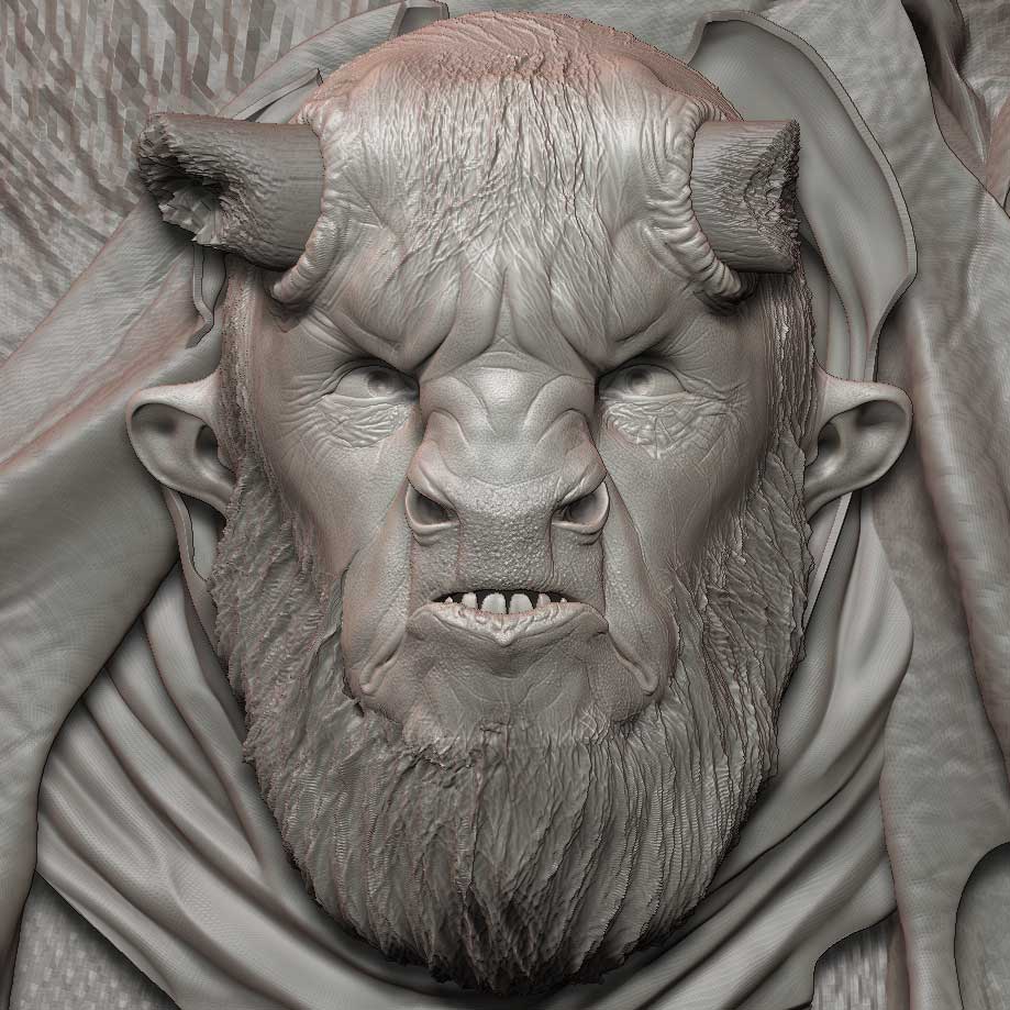 bull_03.jpg