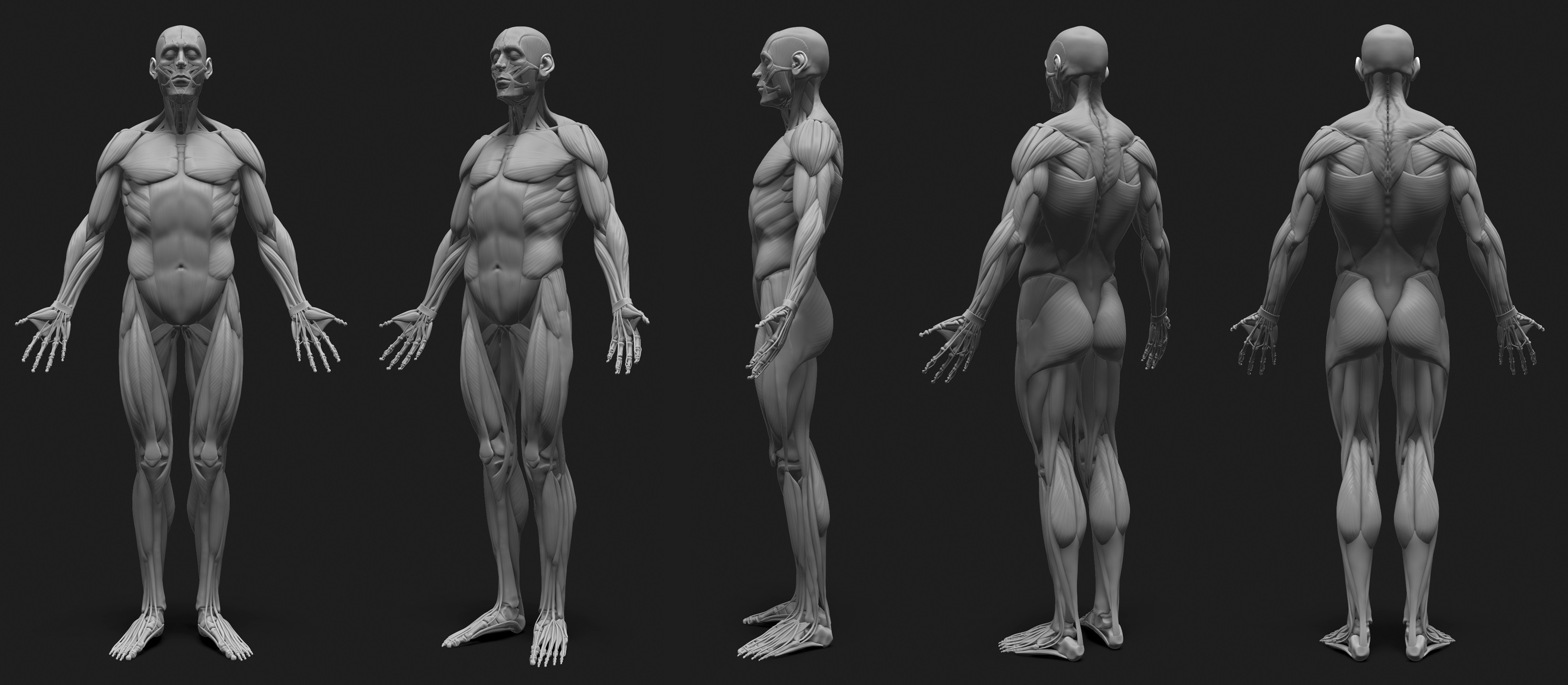 Render.jpg