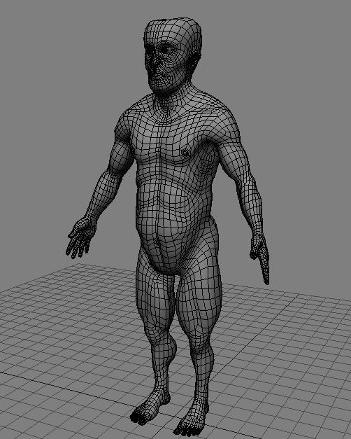 Human_P_5.jpg