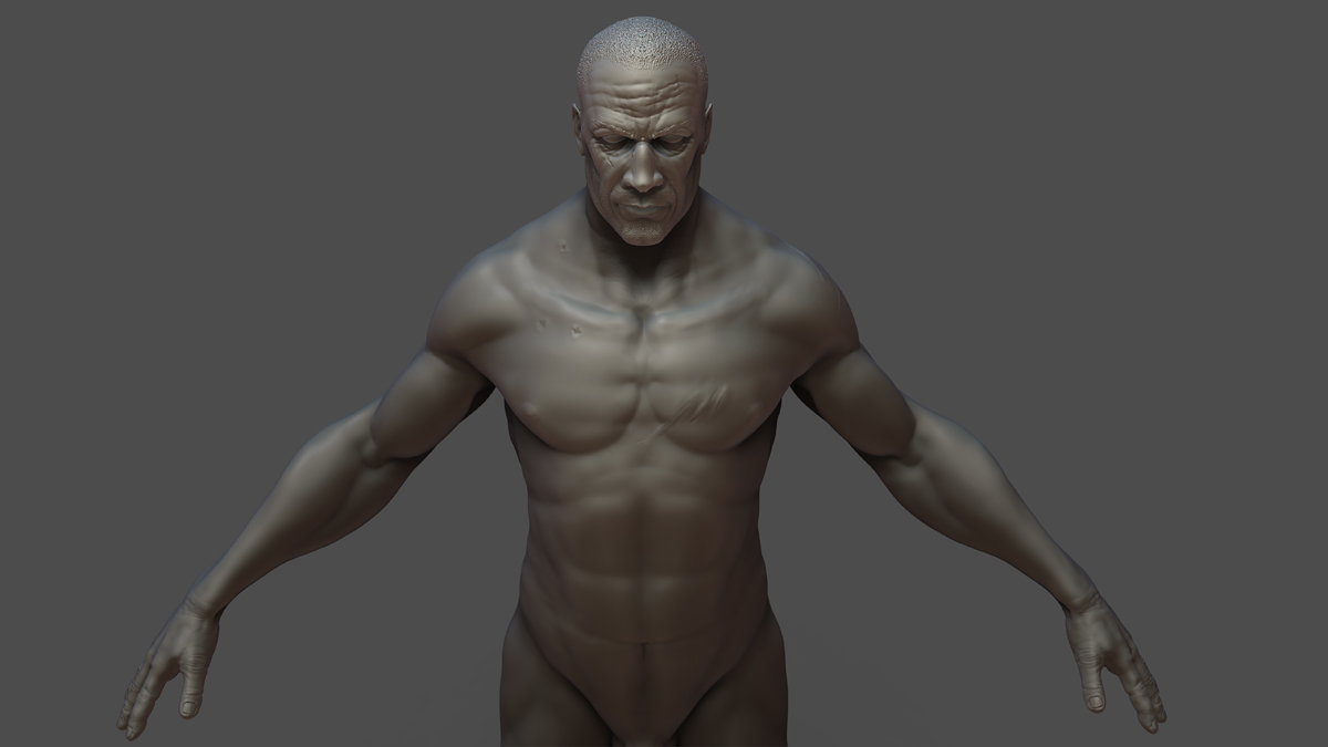 MaleAnatomy_1.jpg