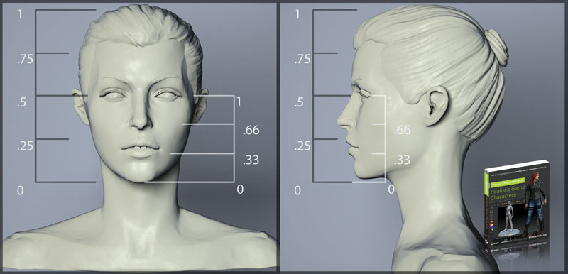 proportions-chart-face.jpg