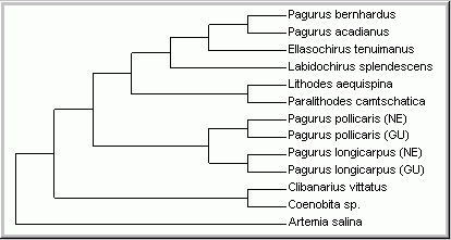 tree.gif