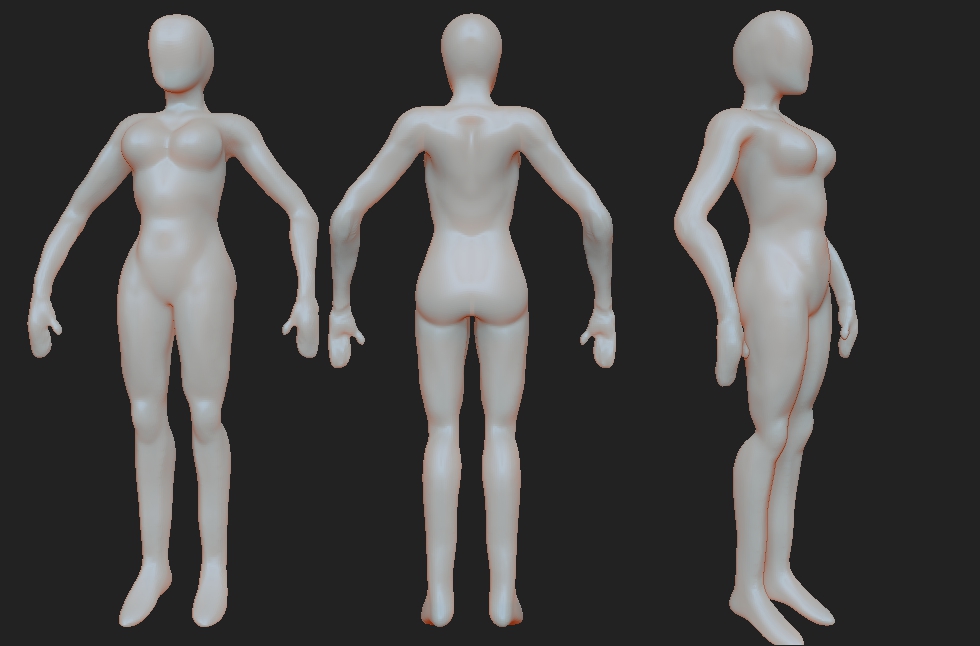 FEMALE ANATOMY retry03.jpg